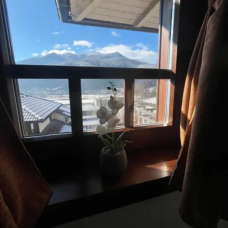 Apartament Grand Panorama *